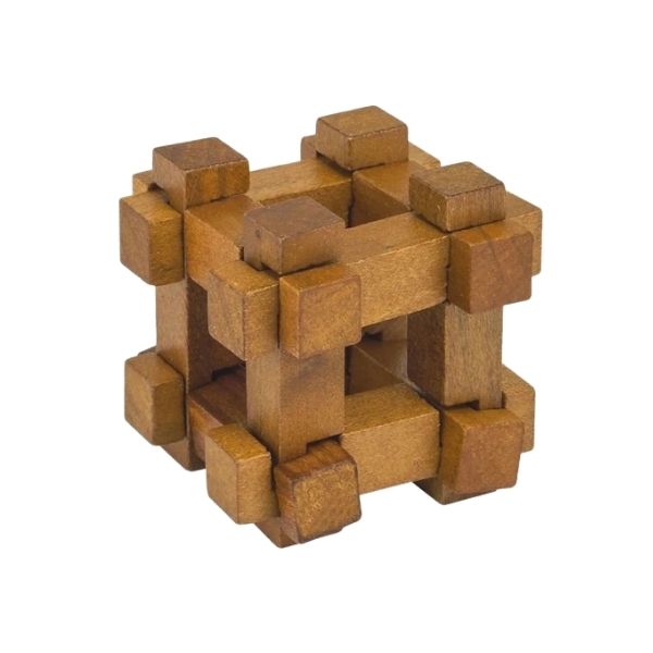 Darwin's Chest Mini Wooden Puzzle