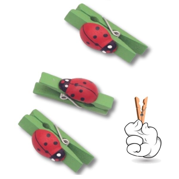 Wooden Pinchy Pegs Ladybug