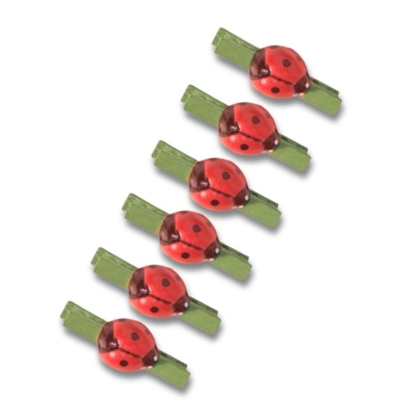 Wooden Pinchy Pegs Ladybug