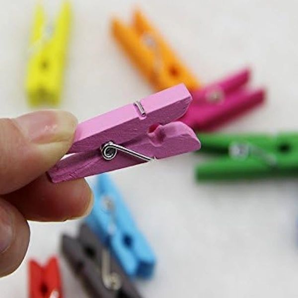 Wooden Pinchy Pegs Multicolour